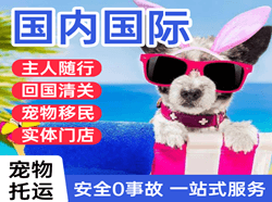 蓬莱航空快运国际宠物托运 【国